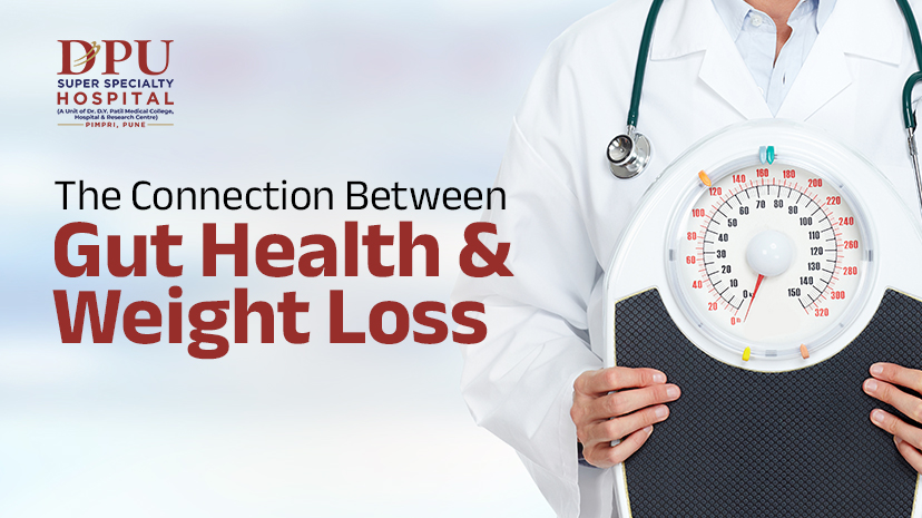 Connection Between Gut Health and Weight Loss