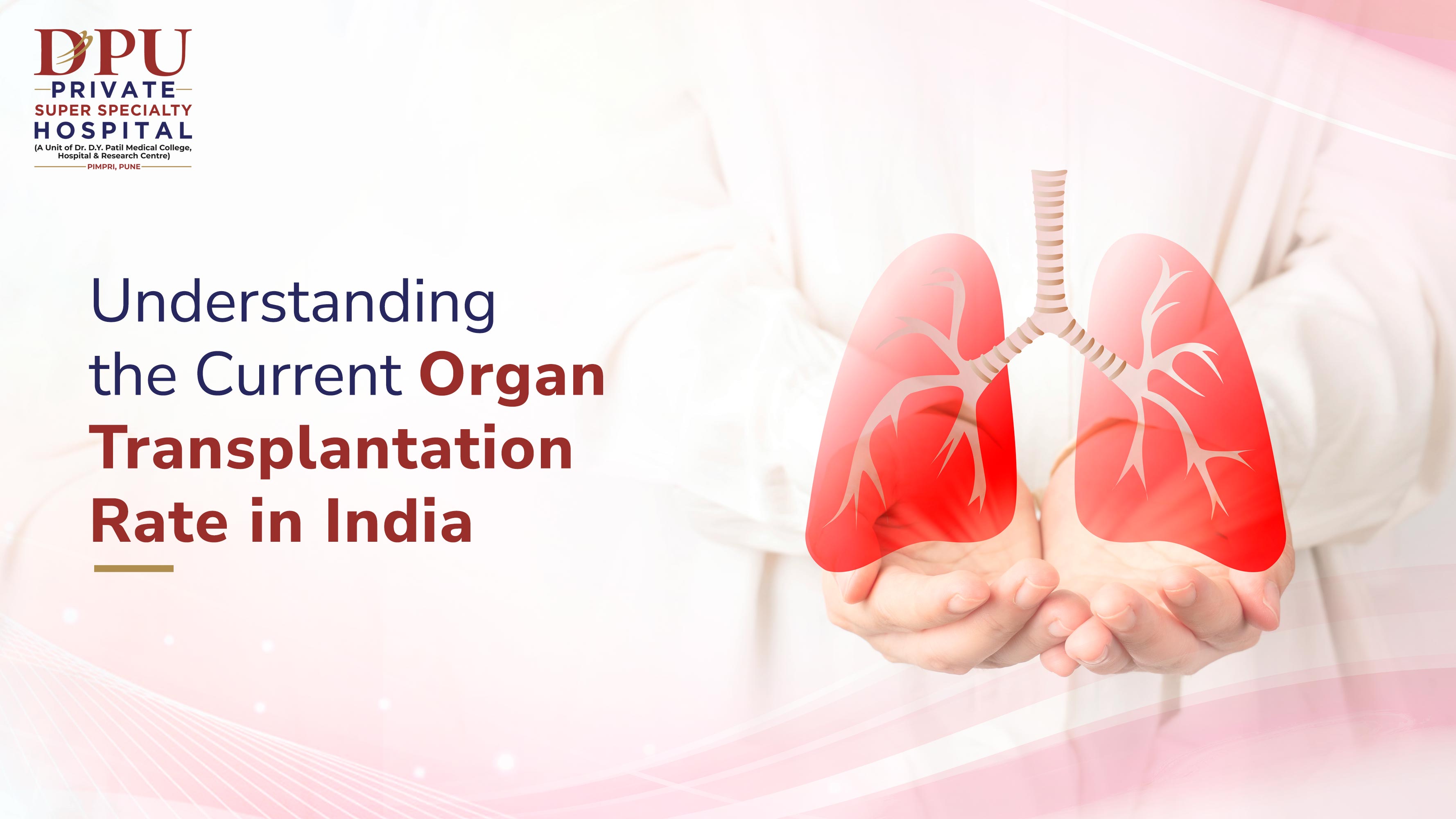 Organ Transplantation in India Overview